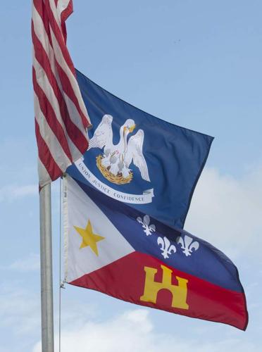 Flag of Louisiana, Meaning, Pelican & History