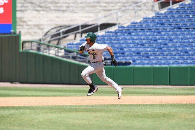 Tulane Baseball enters AAC play with six straight wins