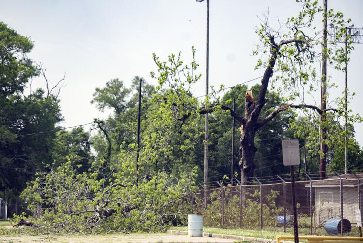Two tornadoes confirmed in St. Landry Parish Weather/Traffic