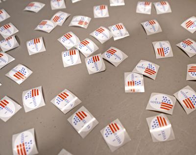 March 30 Elections Where When To Vote What S On The Ballot Where To Find Results Elections Theadvocate Com