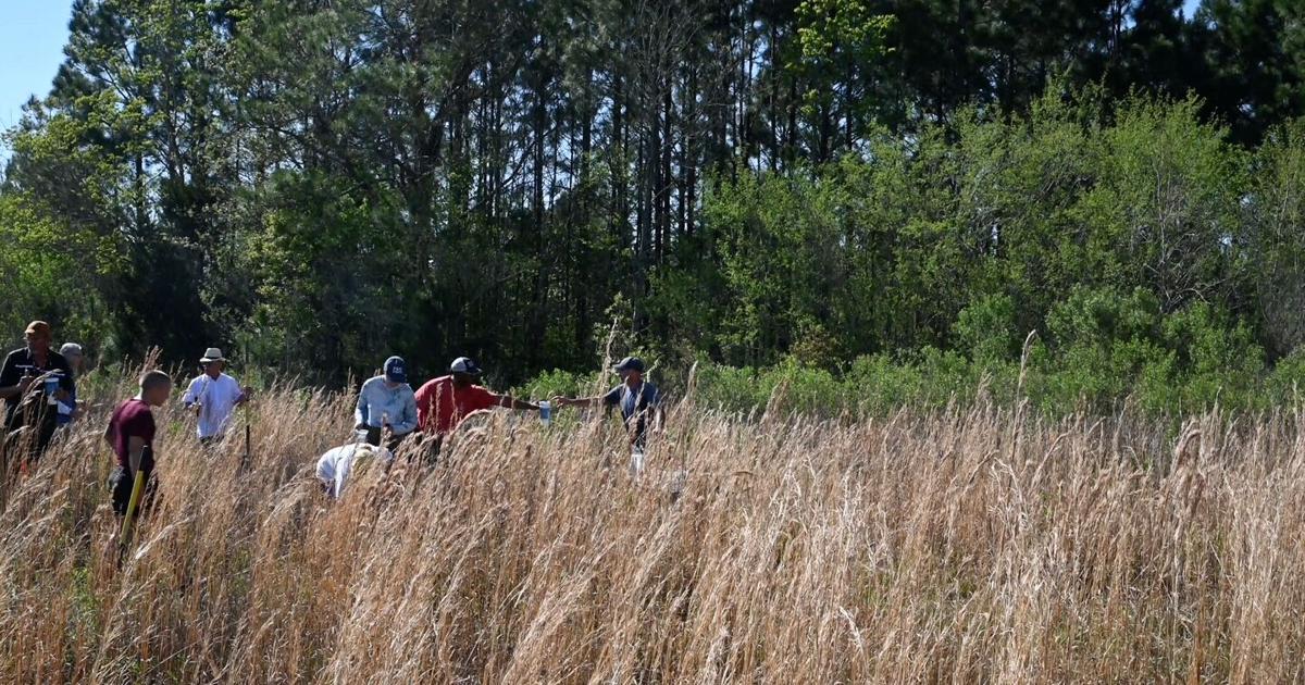 Around Baton Rouge: 'Grass Roots' film, Ballroom Dance, PlantFest! and more events