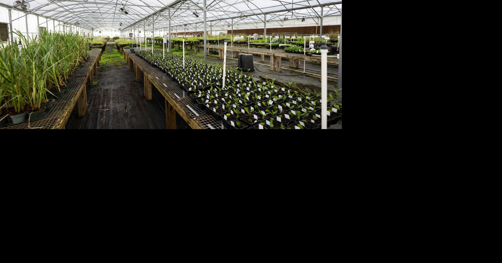 Uncertainty looms over students at UL's Ecology Center as university considers sale Apr 23, 2026 Apr 23, 2026 4 min to read