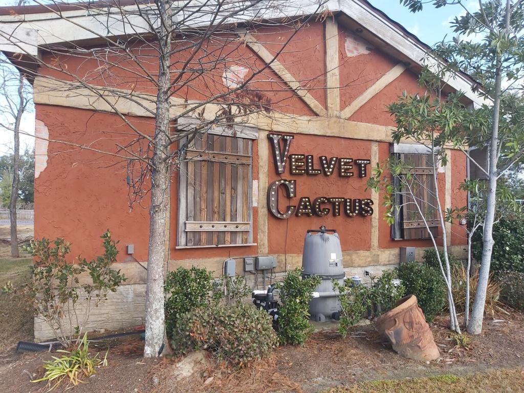COVID, new restaurants led to Velvet Cactus closing | Business |  theadvocate.com