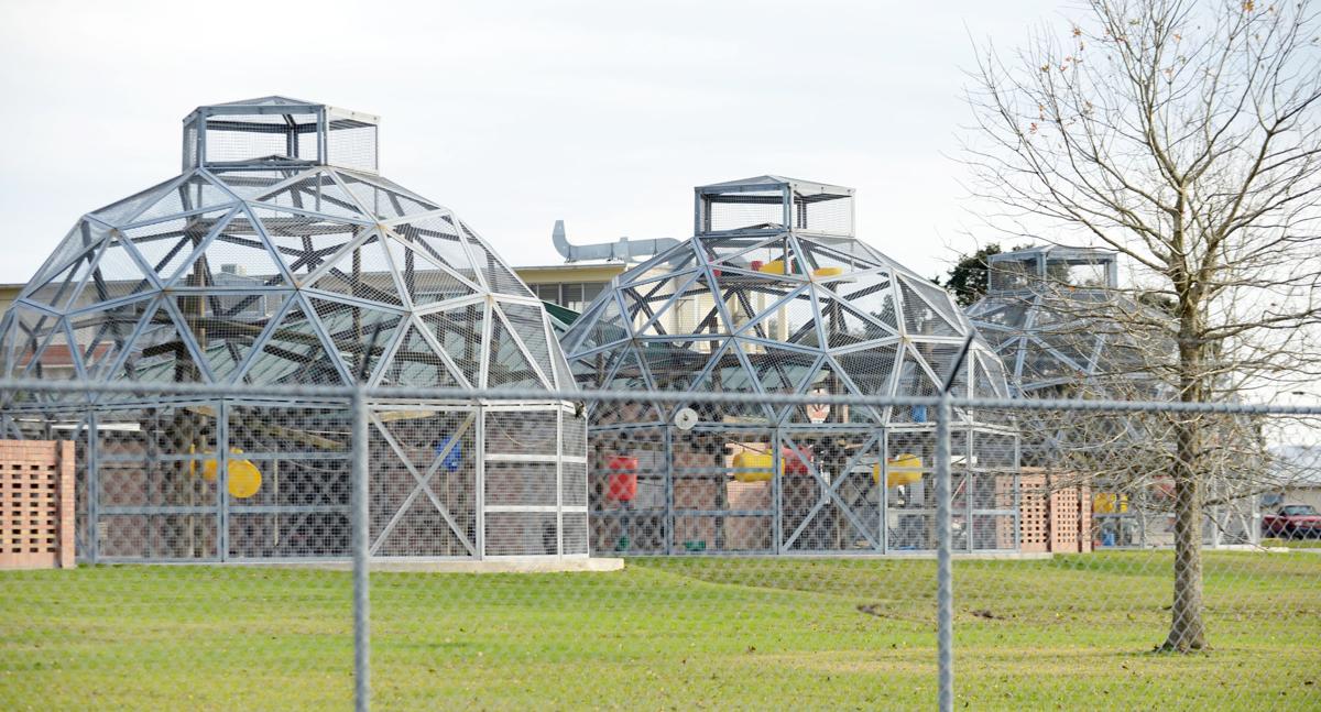 University of Louisiana at Lafayette primate center drug