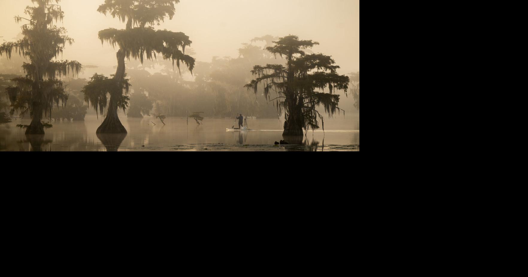 The quiet arrival of a Louisiana fall, seen through the places we love most