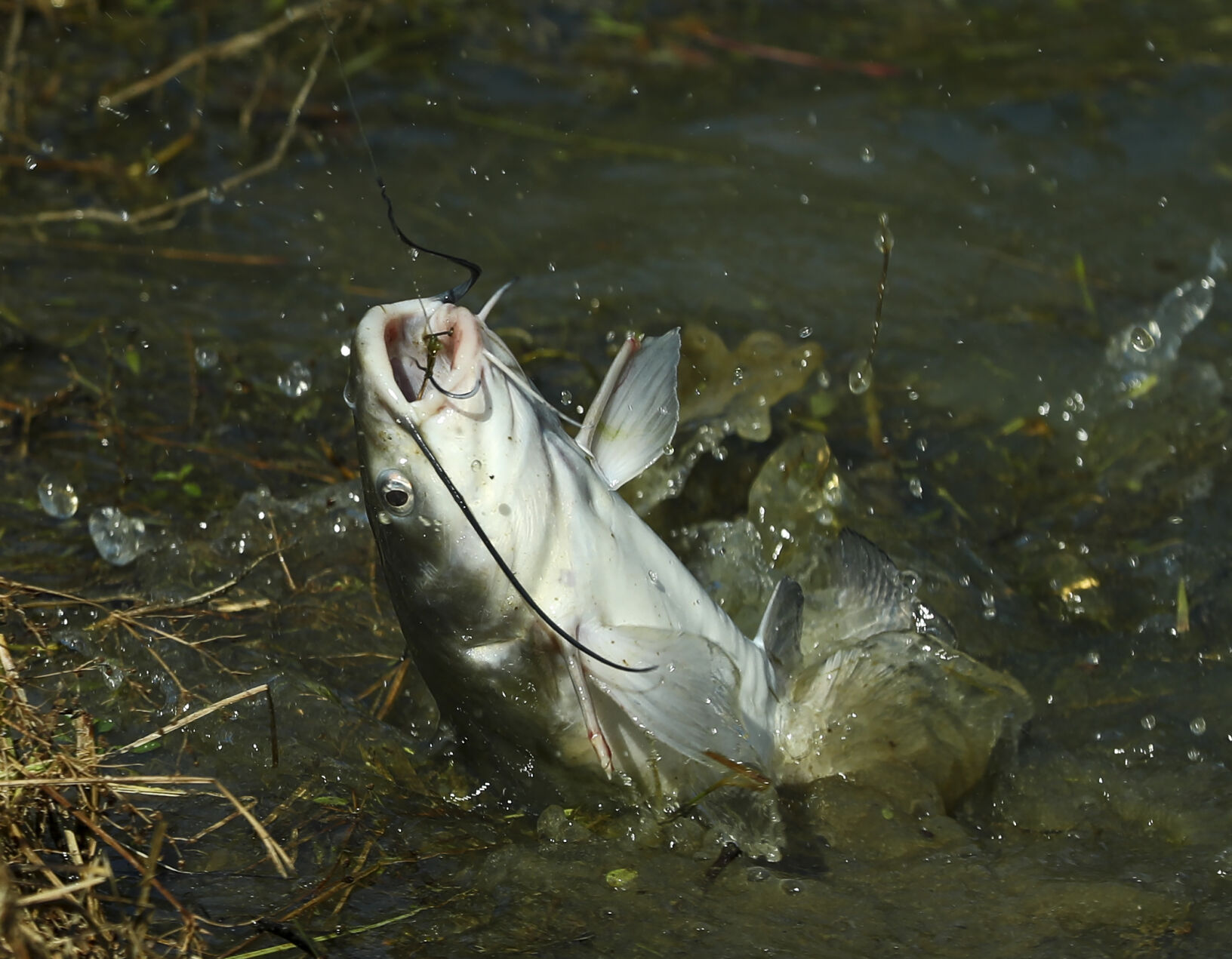 Photos Louisiana’s National Hunting and Fishing Day returns to Waddill Wildlife Refuge Baton
