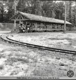 zoo train 7