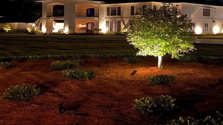 Seven tips to light up your home's landscape and garden |  Entertainment/Life | theadvocate.com