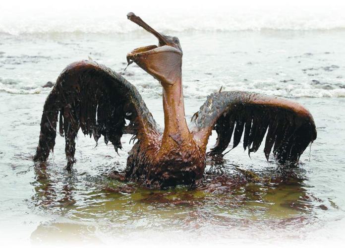 Louisiana to receive several billion dollars as part of massive BP oil spill settlement with Gulf states _lowres