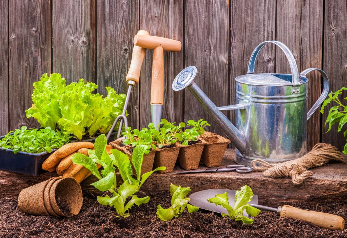 Organic Gardening Basic Tools