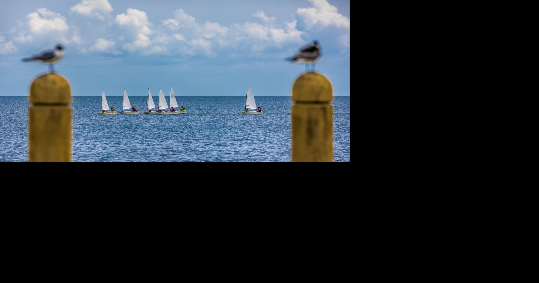 NO.summersail.adv_362.jpg