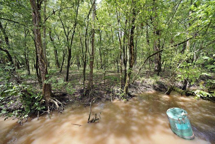 The Nature Conservancy buys Atchafalaya Basin land to improve water