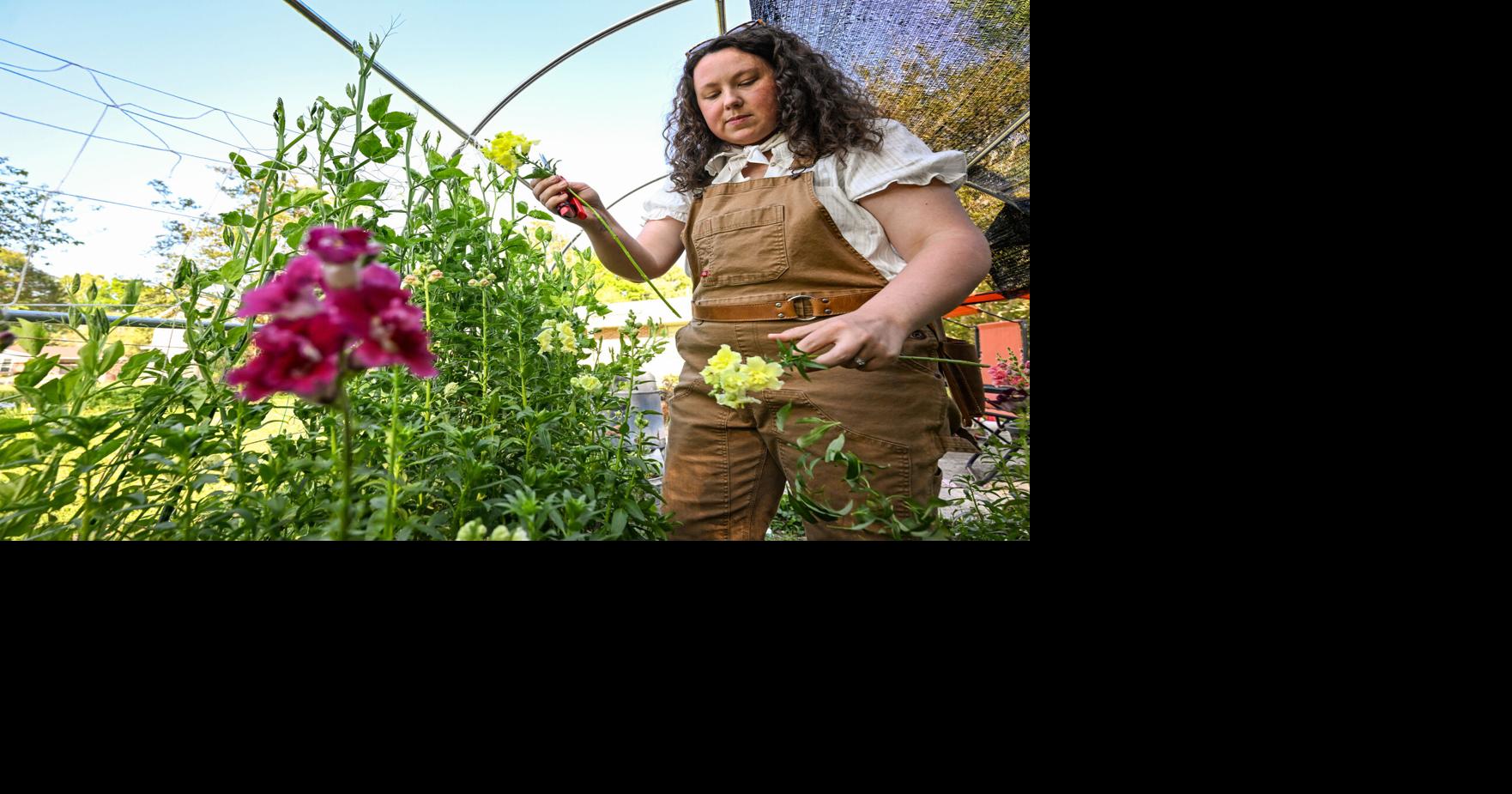 Neuer Herbstblumenmarkt am Samstag in Baton Rouge mit Kaffee und ...