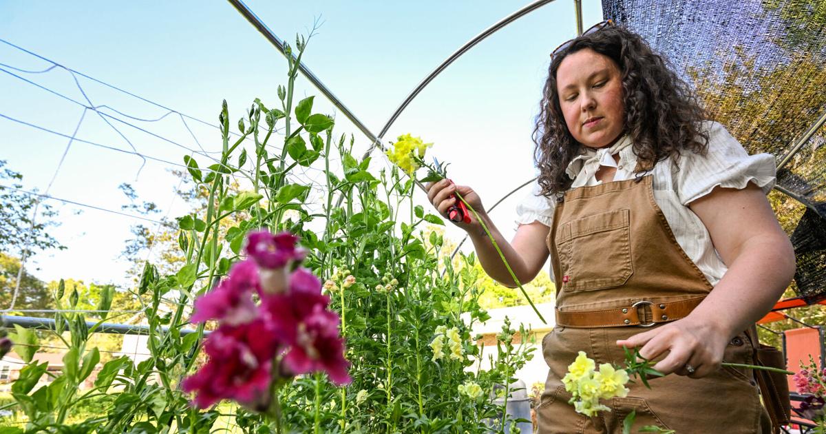 Neuer Herbstblumenmarkt am Samstag in Baton Rouge mit Kaffee und ...