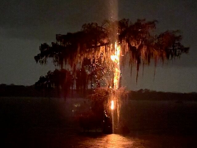 Lake Martin Cypress Tree Struck By Lightning Catches Fire News 