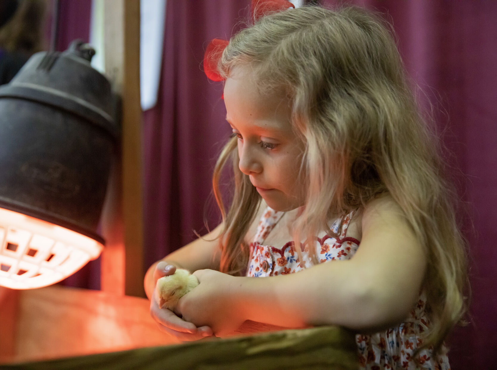 Photos: AgMagic takes over LSU's Parker Coliseum | Baton Rouge ...