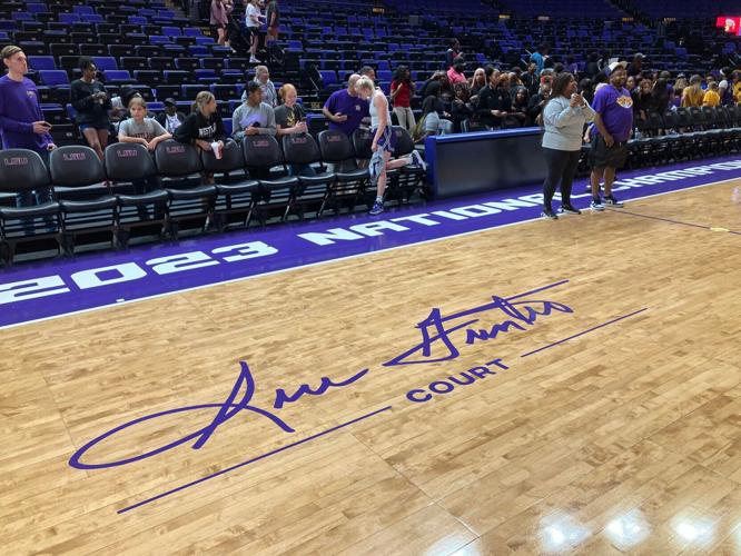 Dale Brown Sue Gunter names separate on LSU court LSU theadvocate com
