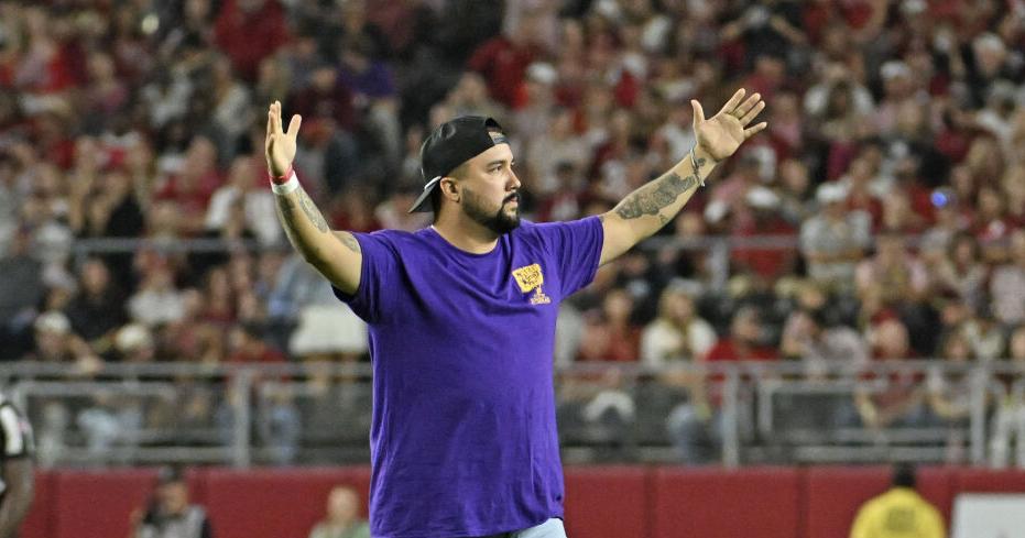 LSU fan was 'waiting to get tackled' after going onto field as part of ...