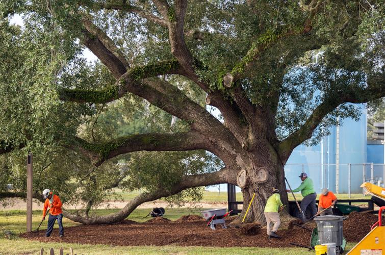 Youngsville's new city hall and police department recognize history and