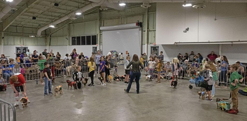 Pets and pumpkins are costumed by owners at 4H Pet Show in Gonzales