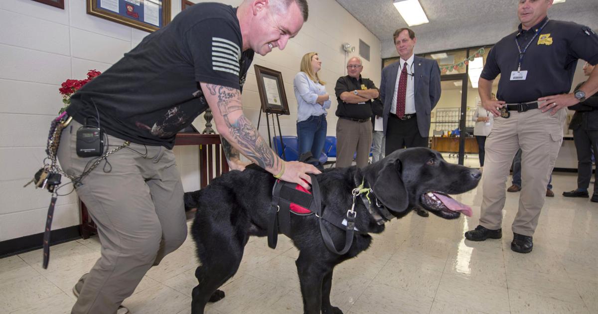 Paws Program Va Photos, video: Angola's PAWS program brings veterans, service dogs ...