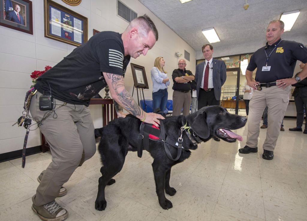 Inmates In Angola S New Paws Program Train Service Dogs For Veterans It S A Win Win Crime Police Theadvocate Com