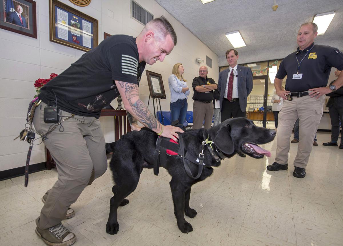 Photos Video Angola S Paws Program Brings Veterans Service Dogs Together Photos Theadvocate Com