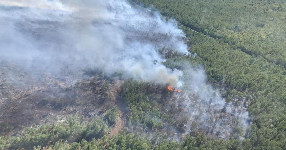 Why does the mash fire smoke smell bad in New Orleans? Here's what a firefighter says