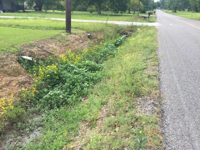 sewer_ditch.041219.JPG (copy)