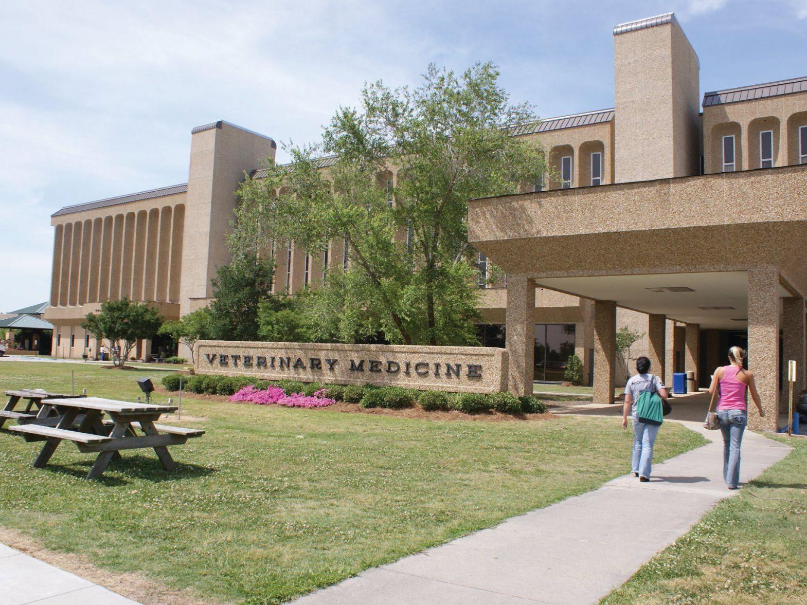 How Lsu Researchers Hospital Leaders Created A New Coronavirus
