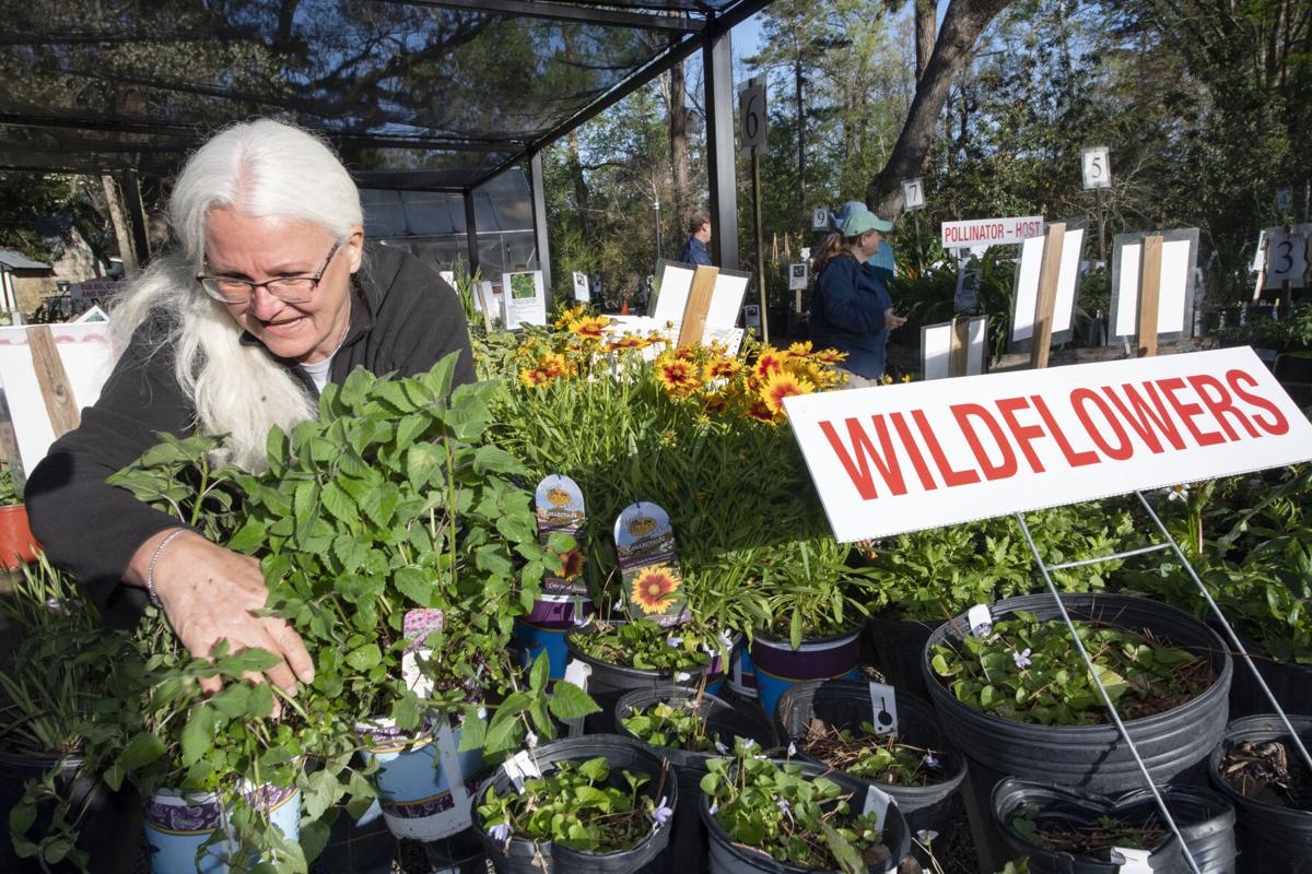 Arboretum, Botanic Garden plant sales both this weekend Entertainment
