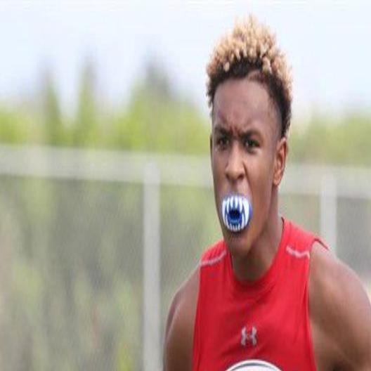 Lsu Spring Practice Primer The New Guys Mid Year Enrollees