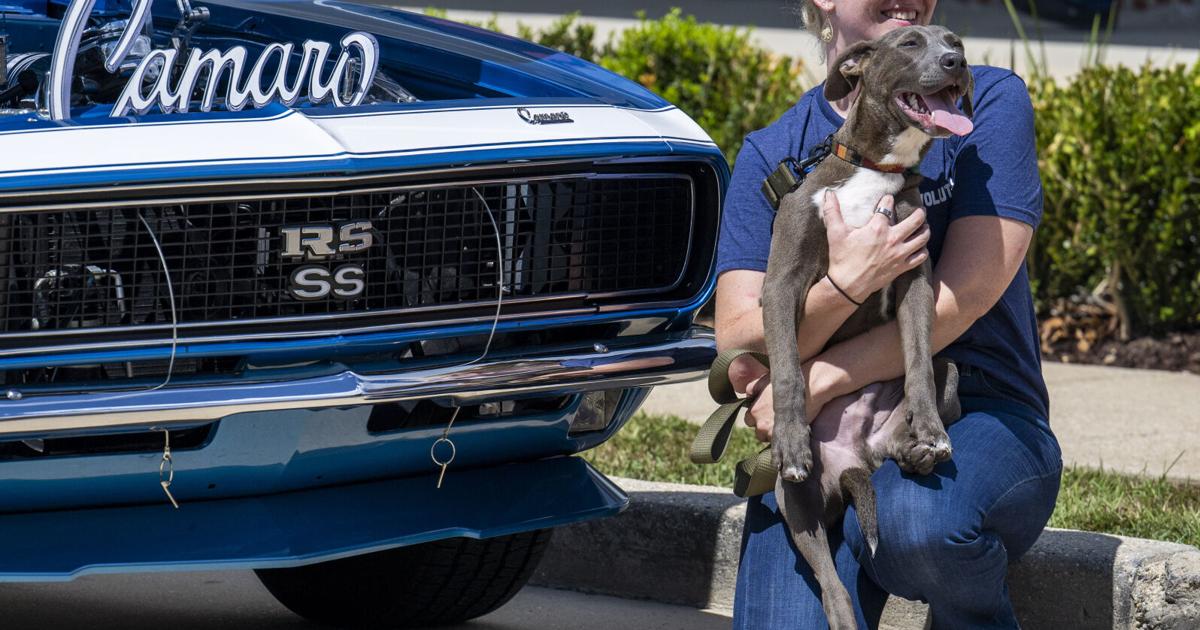 Photos: Oldies But Goodies Fest Car Show