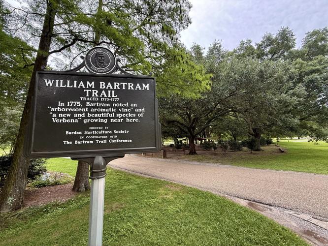 bartram 8