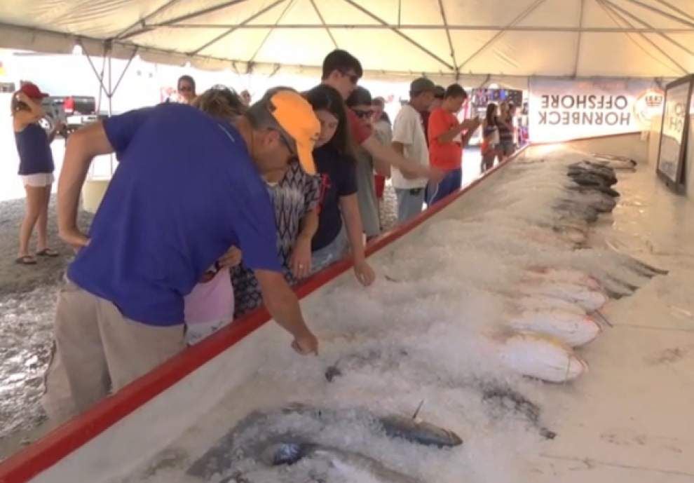 Video: Final day at International Grand Isle Tarpon Rodeo _lowres