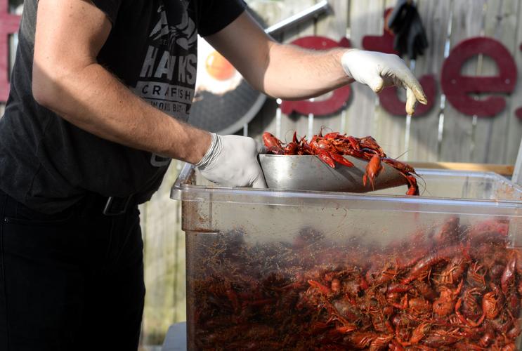 Prices are high, but Louisiana crawfish yield is improving, Entertainment/Life