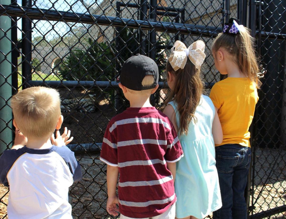 Reeves Children.jpg