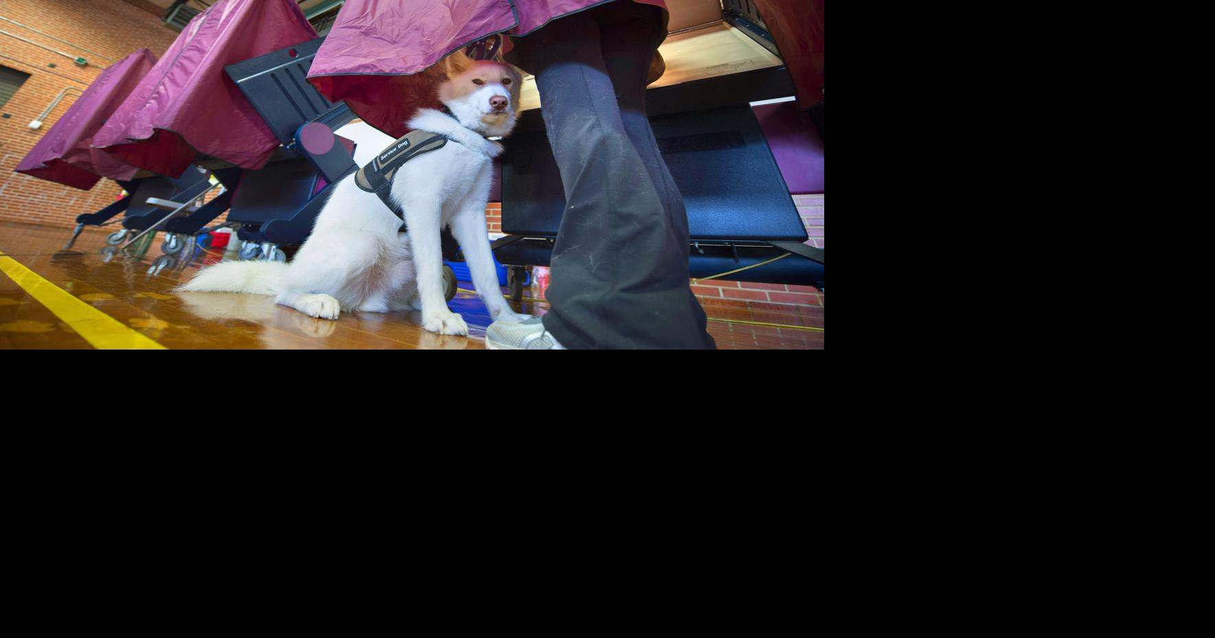 Louisiana's unique 'jungle primary' system could be on its way out