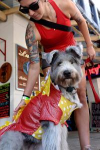 Events List Here S How To Celebrate Halloween In Baton Rouge Entertainment Life Theadvocate Com