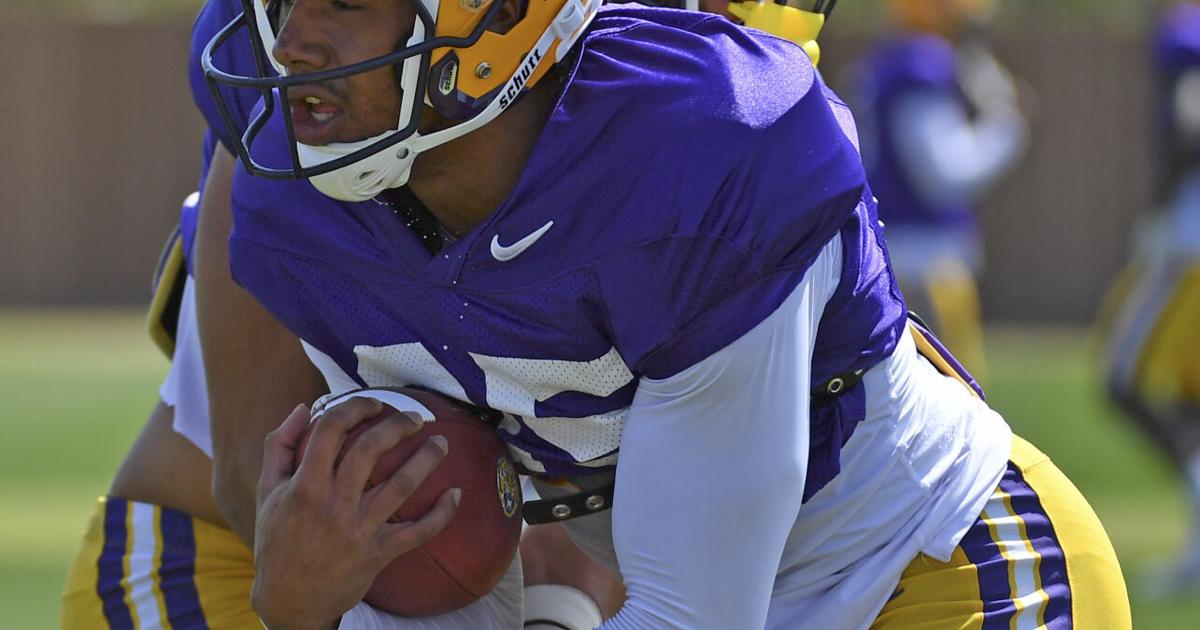 An LSU backup linebacker entered the transfer portal for the second time in his career