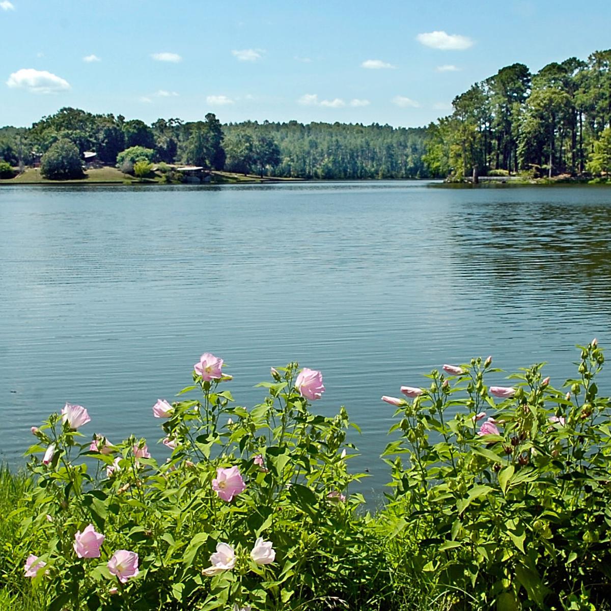 Hodges Gardens Supporters Peeved Say Louisiana Neglected Then