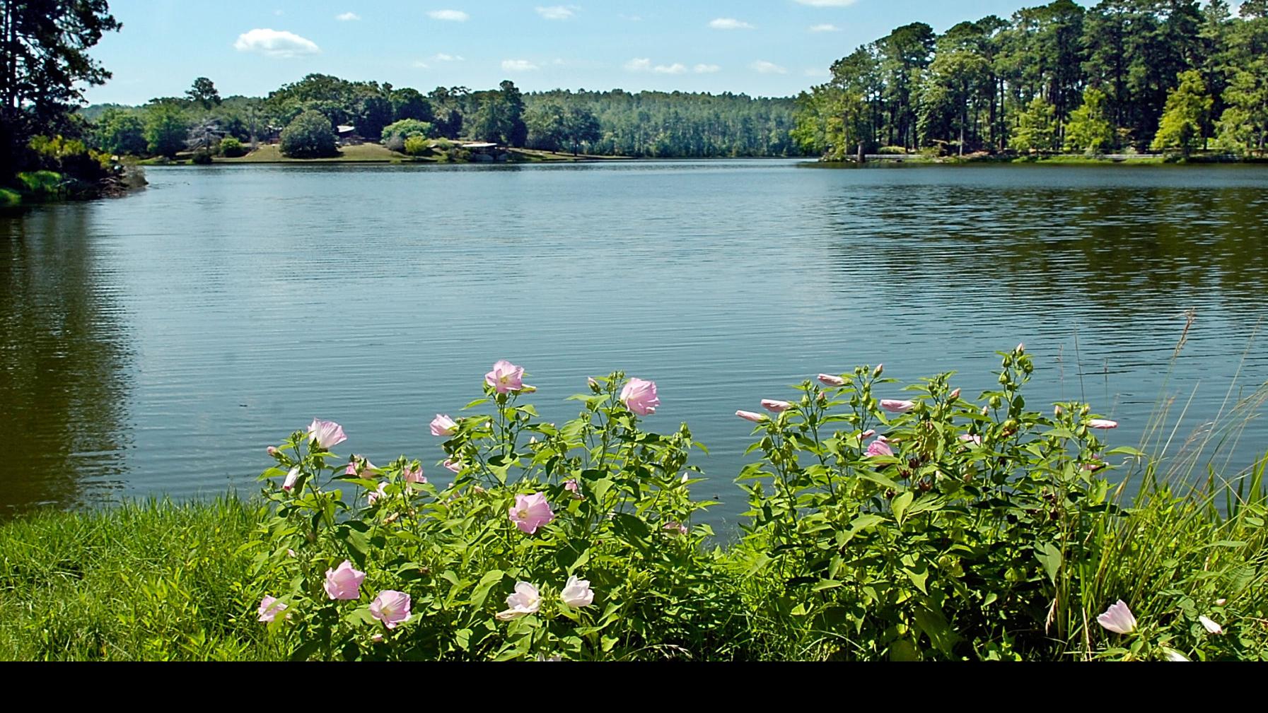 Hodges Gardens Supporters Peeved Say Louisiana Neglected Then Gave Up On State Park Legislature Theadvocate Com
