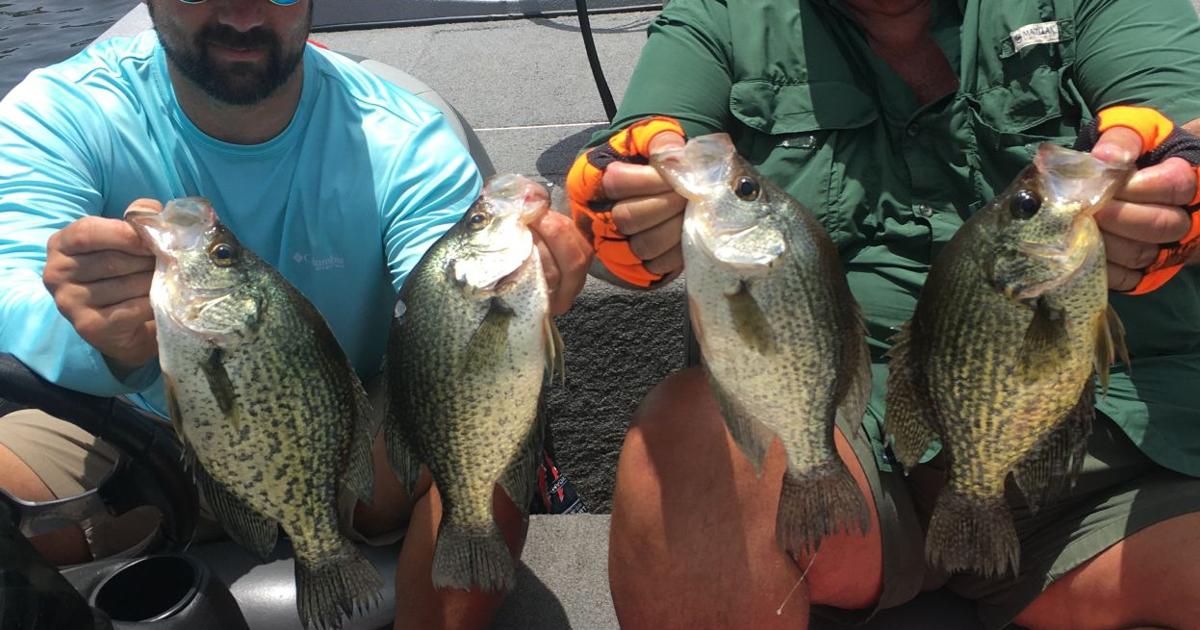 It's sac-a-lait time/patience needed to catch these finicky fish ...
