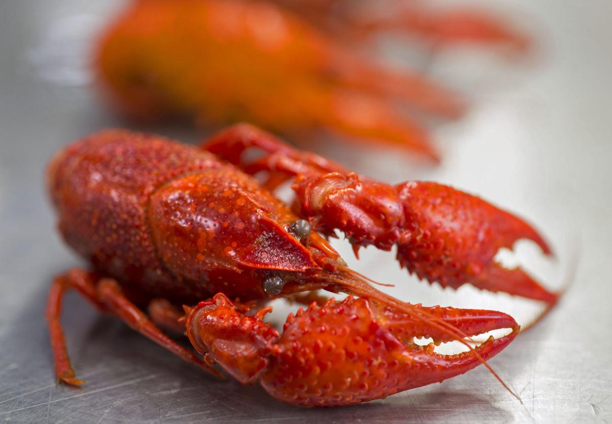 where to buy crawfish