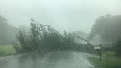 These roads are closed in Baton Rouge after Francine | Hurricane 