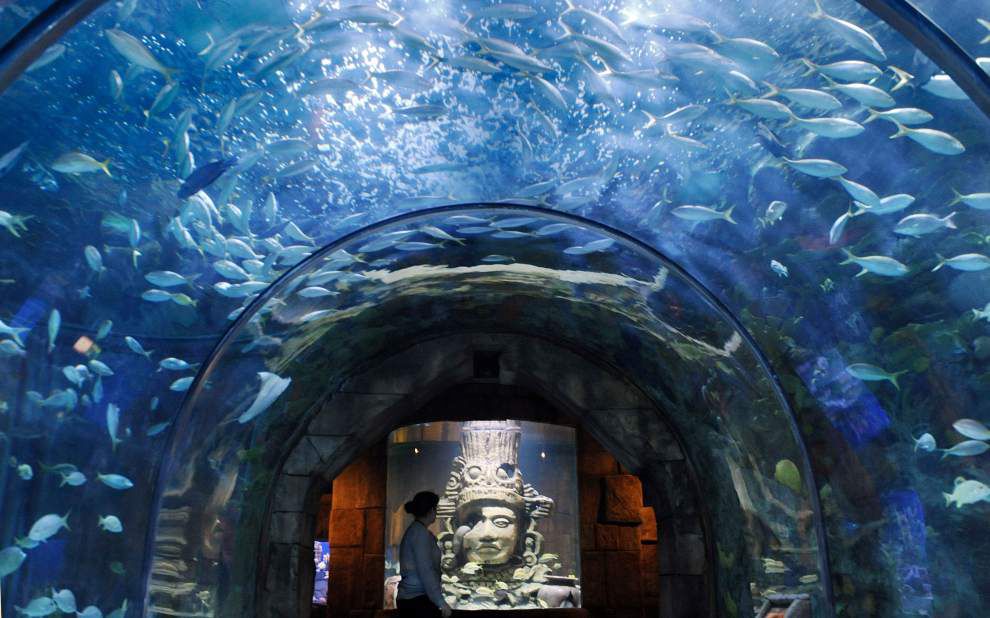 Jefferson residents get half-price admission to Audubon attractions Saturday _lowres