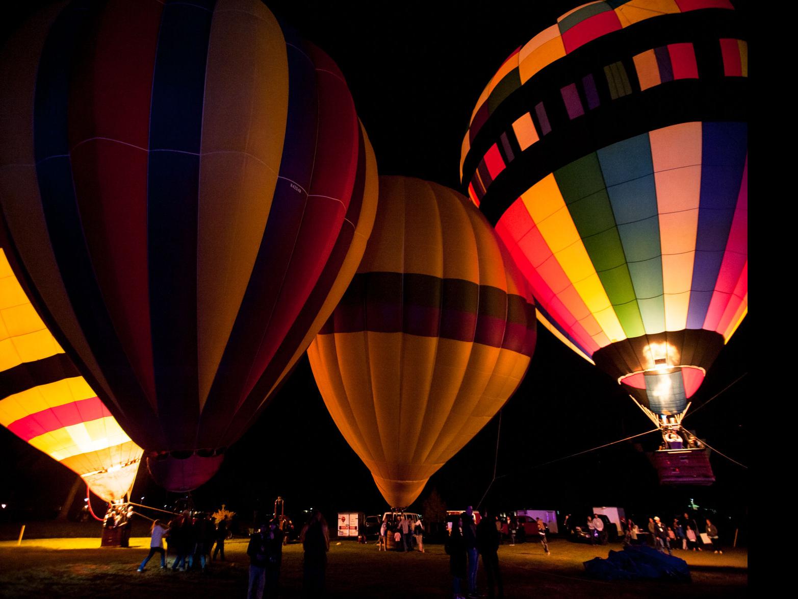 can u take dogs into balloon festival