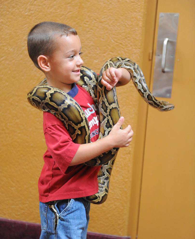 Photos: Snakes, turtles, lizards take center stage at ReptiDay in Lafayette _lowres