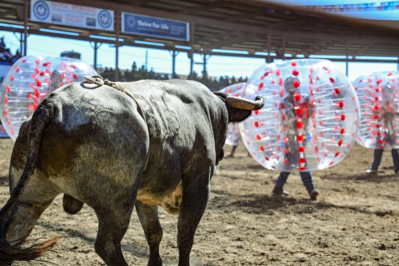 Photos Inside Angola Prison Rodeo Baton Rouge