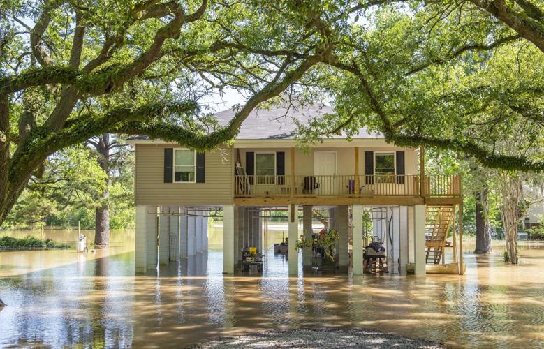 BR.wildamiteriverhighwater.adv 0092 bf.jpg